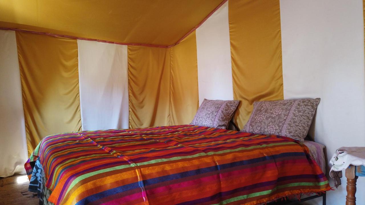 Camp Sahara Dunes Hotel M'Hamid Kültér fotó